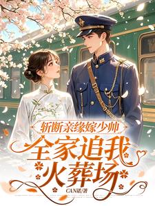 电视连续剧少帅追妻火葬场完整版